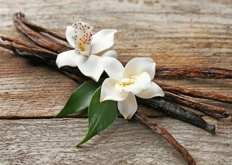 French Vanilla Blend Coffee